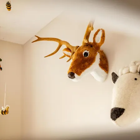 Ouder-kind Droomzacht - Natuurkamer Epe