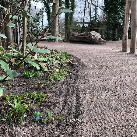 Ouder-kind Droomzacht - Natuurkamer 3* Epe