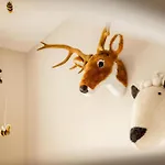 Ouder-kind Droomzacht - Natuurkamer Epe